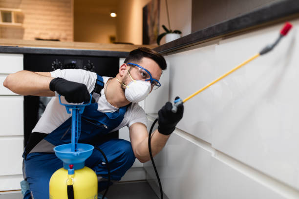 Best Wasp Removal Services  in Thibodaux, LA