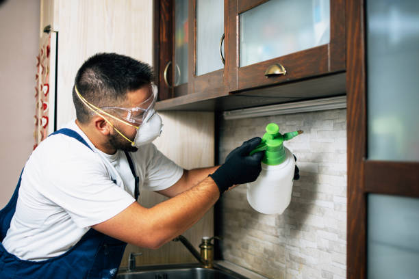 Best Pest Prevention Services  in Thibodaux, LA
