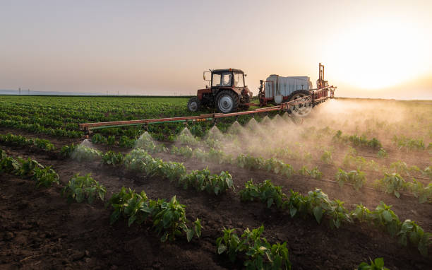 Best Wildlife Control Services  in Thibodaux, LA