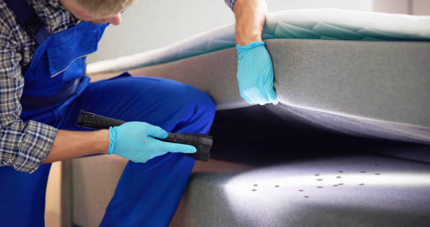 Best Local Pest Control Services  in Thibodaux, LA