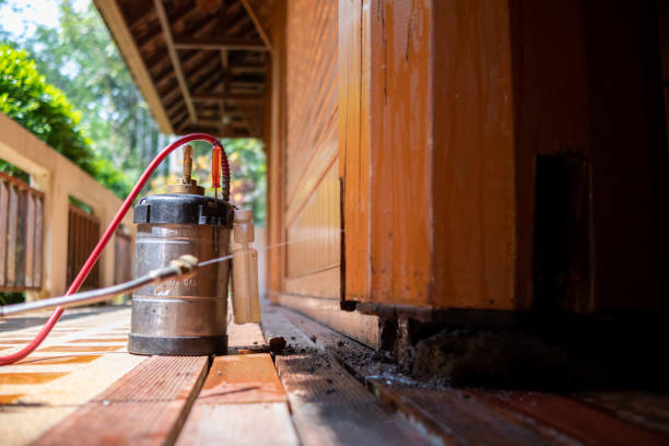 Best Termite Control Services  in Thibodaux, LA