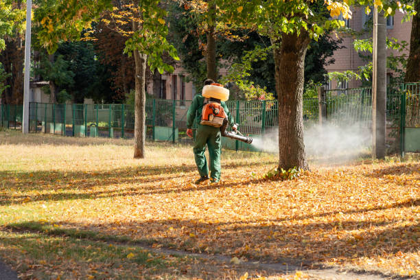 Best Commercial Pest Control Services  in Thibodaux, LA