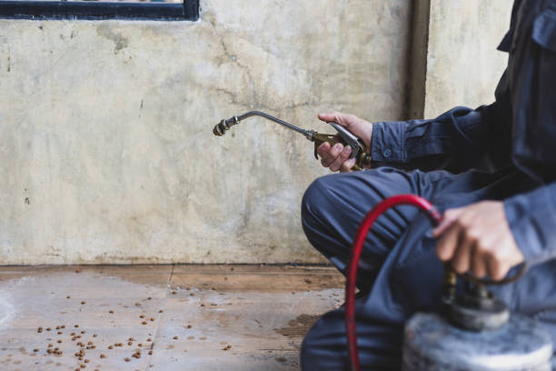 Best Cockroach Control Services  in Thibodaux, LA