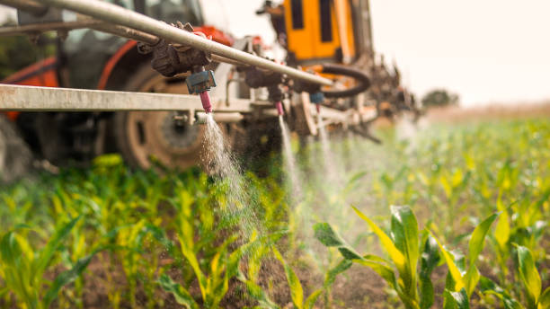 Best Best Pest Control Companies  in Thibodaux, LA